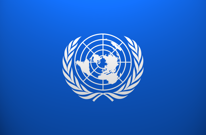 Importanța ONU