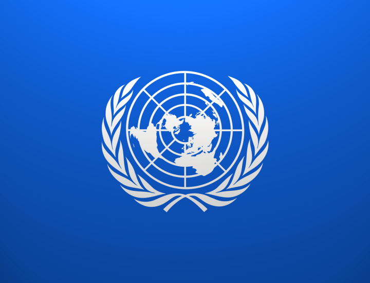 Importanța ONU