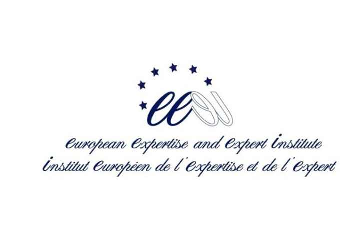 The European Expertise and Expert Institute