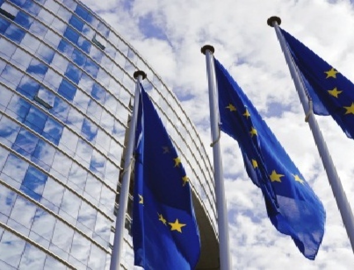 Actele juridice şi procedurile de adoptare ale Uniunii Europene – coordonare şi cooperare interinstituţională