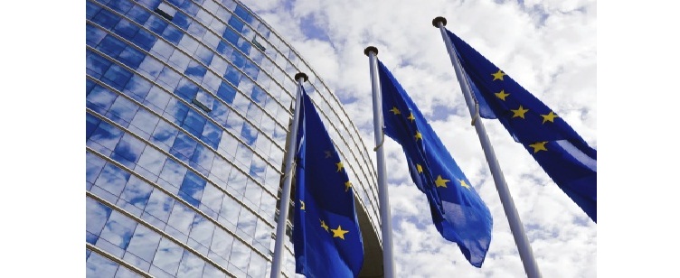Actele juridice şi procedurile de adoptare ale Uniunii Europene - coordonare şi cooperare interinstituţională