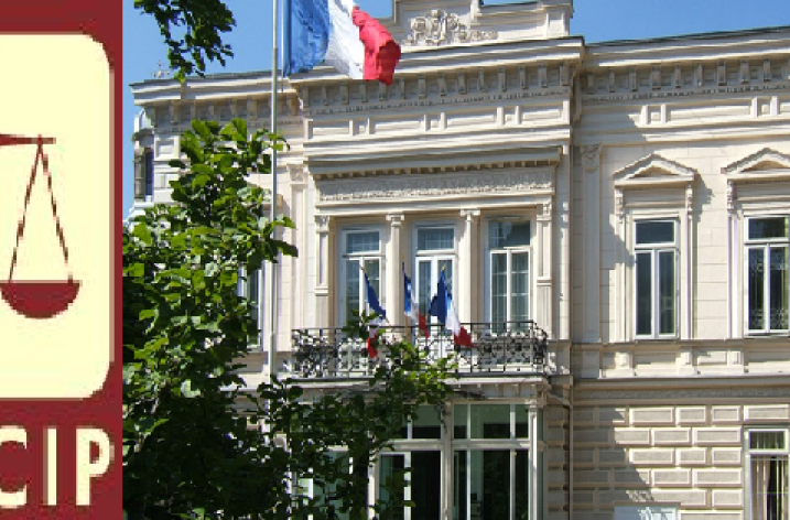 Constitutie, democratie si alegeri