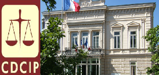 Constitutie, democratie si alegeri 