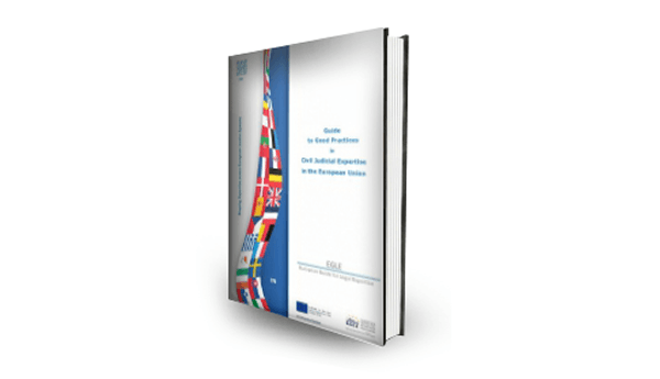 Am lansat ghidul Institutului European de Expertiză și Experți (EEEI) in limba romana