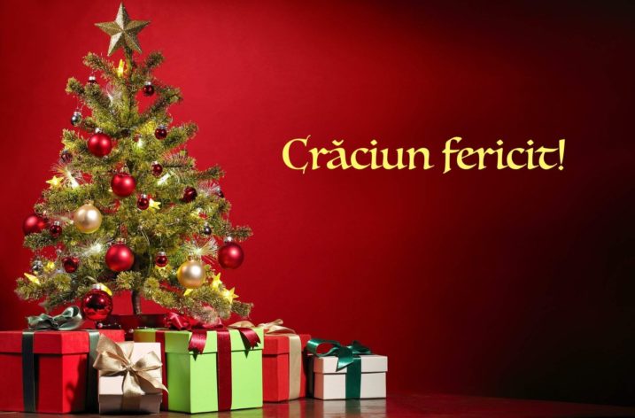 Echipa ABC Juridic vă urează sărbatori fericite alături de familie și de cei dragi și un an nou prosper, ambițios si presărat cu reușite!