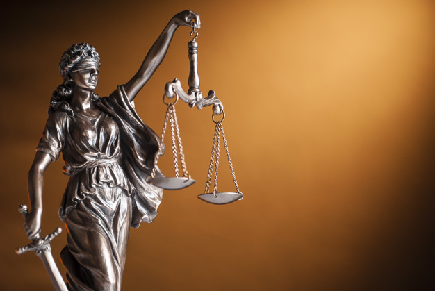 Principiul egalității în drepturi în jurisprudența CCR