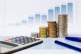 Elaborarea proiectelor de buget